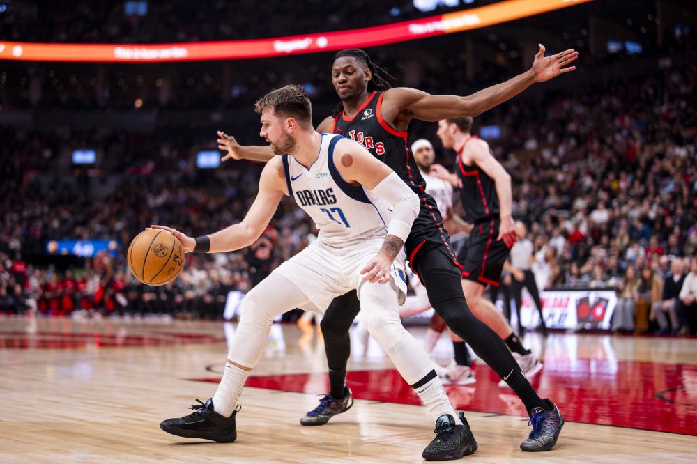 森林狼高效 森林狼高效